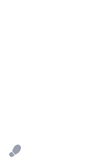 footer-top